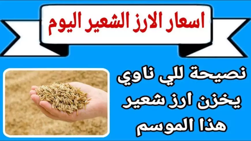 أسعار الأرز الشعير اليوم الأربعاء 30/4/2025