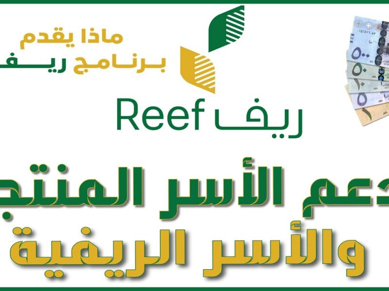 شغلانة بدون ورق.. التسجيل في دعم الأسر المنتجة بقى إلكتروني دعم سريع