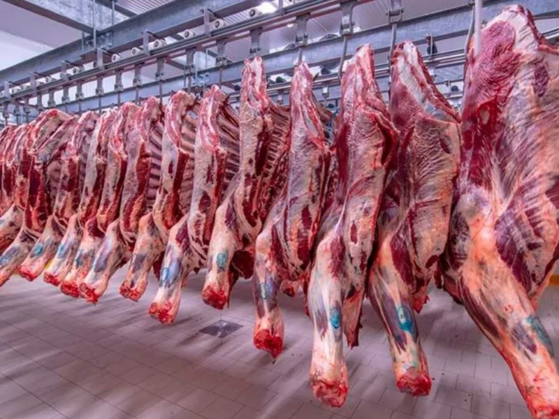استقرار ملحوظ.. أسعار اللحوم الحمراء البلدي اليوم الثلاثاء 8/4/2025 بالتفصيل