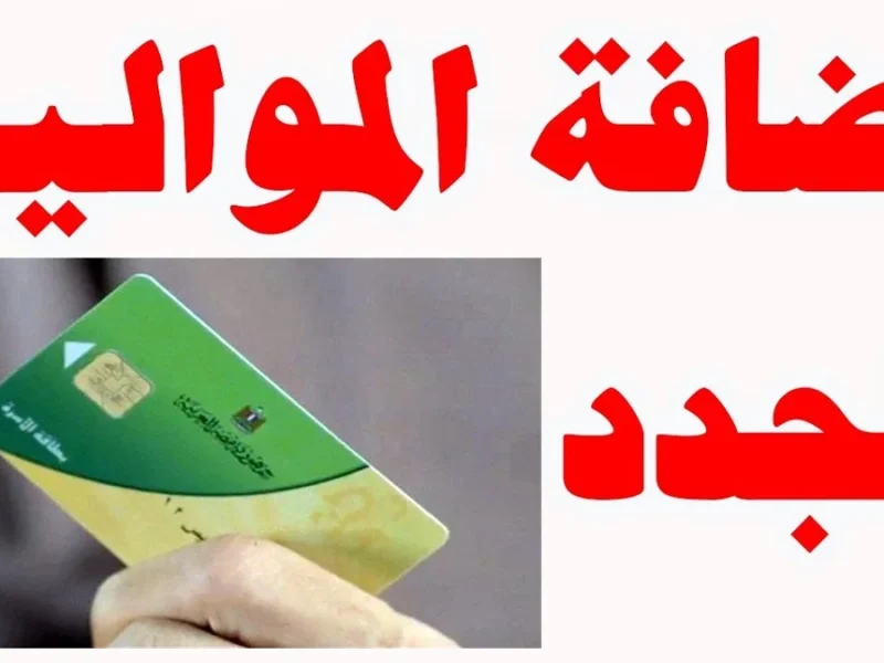 ابنك ليه نصيب كبير.. إضافة المواليد على بطاقة التموين 2025 بدون زيارة مكتب