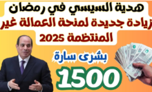 العمالة غير المنتظمة