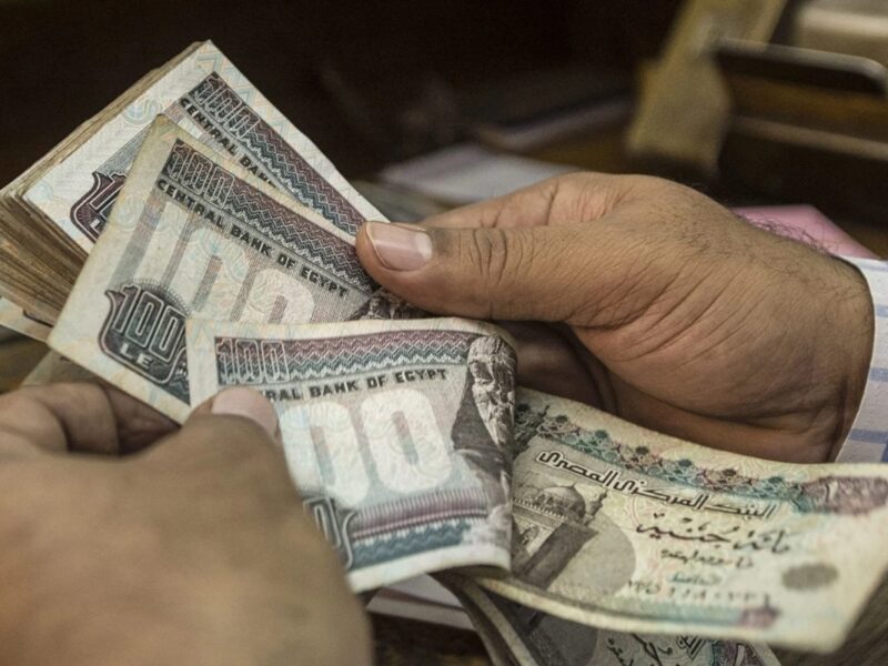 تكافل بيكبر.. ضم فئة جديدة لمستحقي معاش تكافل وكرامة بعد الزيادة 25% دعم أكتر