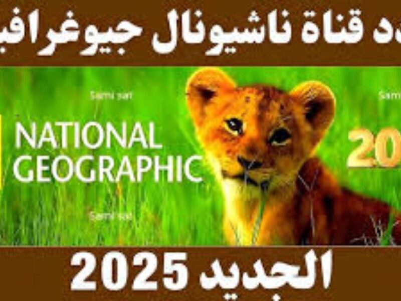 من زمان مستنيها .. تردد قناة ناشيونال جيوغرافيك أبوظبي 2025 على نايل سات وعرب سات رجع يشغّل دماغك من أول مشهد