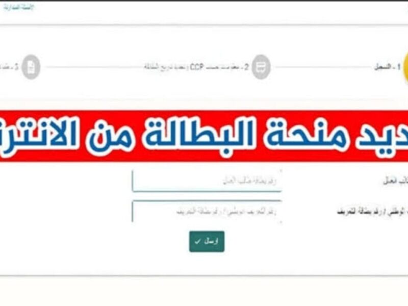 المنحة هتتجدد وانت قاعد.. طريقة تجديد منحة البطالة كل 6 شهور عبر الوكالة الوطنية للتشغيل بالجزائر 2025