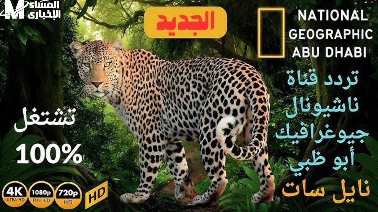 قناة ناشيونال جيوغرافيك