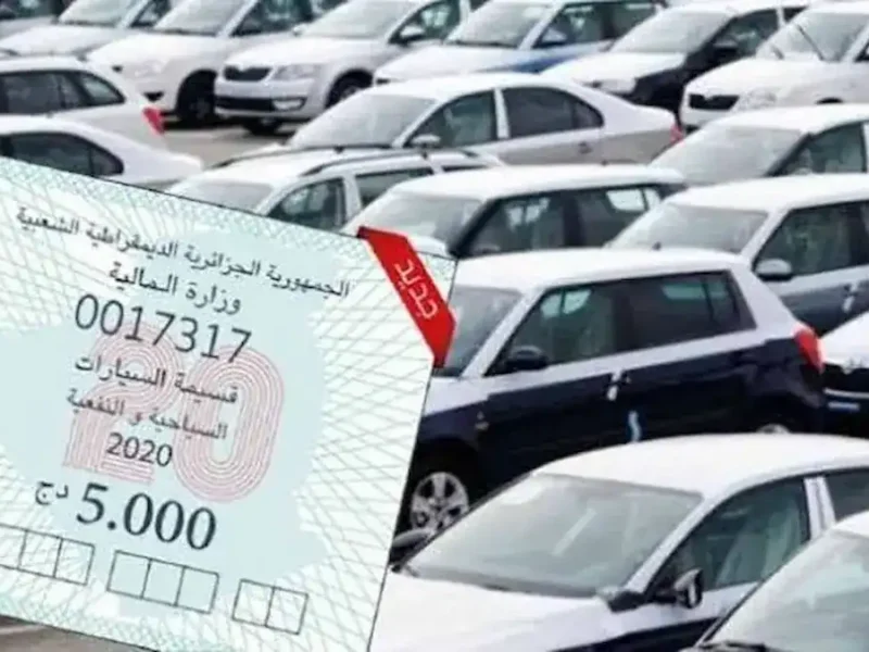 قسيمتك على الهوا.. رابط تسجيل قسيمة السيارات بالجزائر سجّل سريعًا