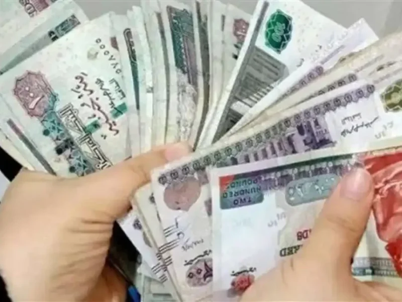 قرارات رسمية تريح المتقاعدين .. الحكومة تعلن جدول معاشات 2025 رسميًا بداية جديدة للكل راحة مؤكدة