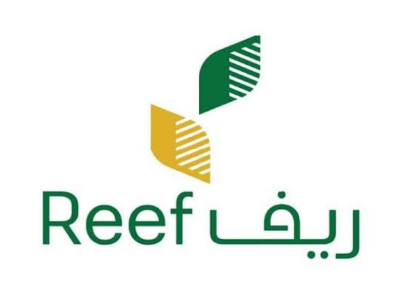 الدعم الريفي رجع .. دعم ريف للاسر المنتجة 1446 الشروط الكاملة