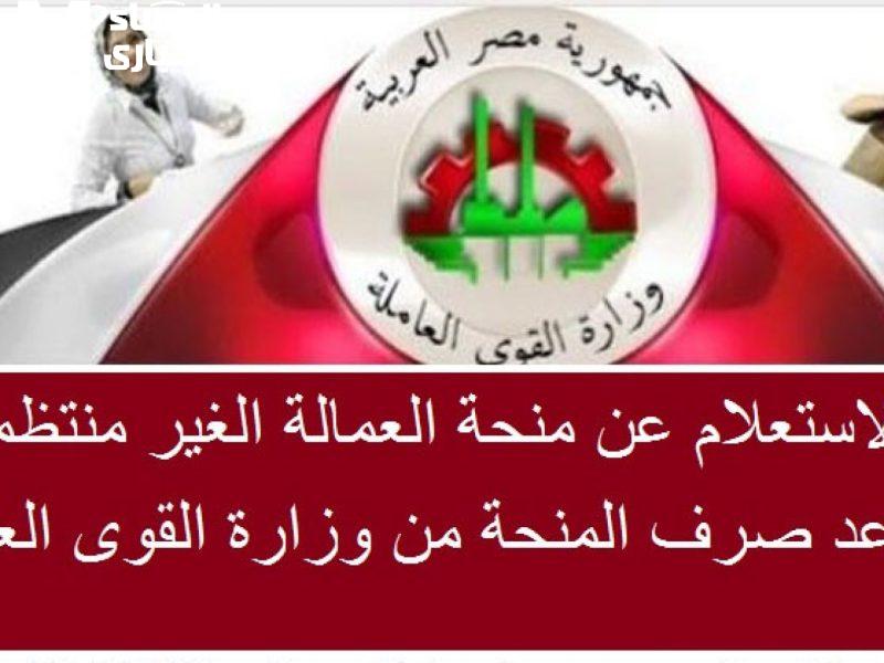 فرصتك الذهبية .. التسجيل في منحة العمالة غير المنتظمة 2025 ببلاش