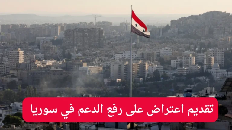الدعم الحكومي