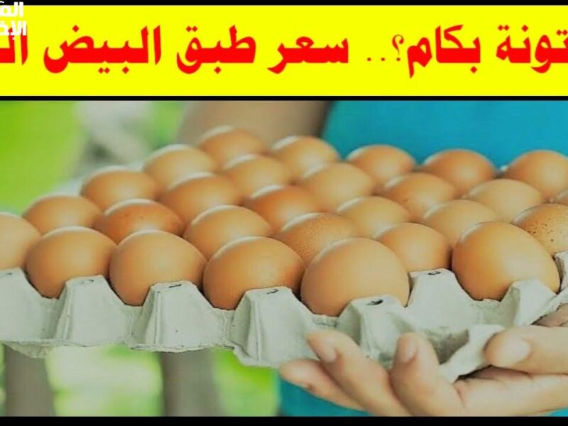 تابع وقرّر .. تعرف علي سعر كرتونة البيض اليوم الخميس 1/5/2025 جو جميل