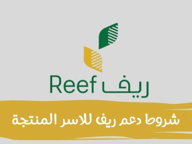 الفرصة نازلة من السما.. طريقة التسجيل في دعم ريف للأسر المنتجة 1446 رزق مضمون