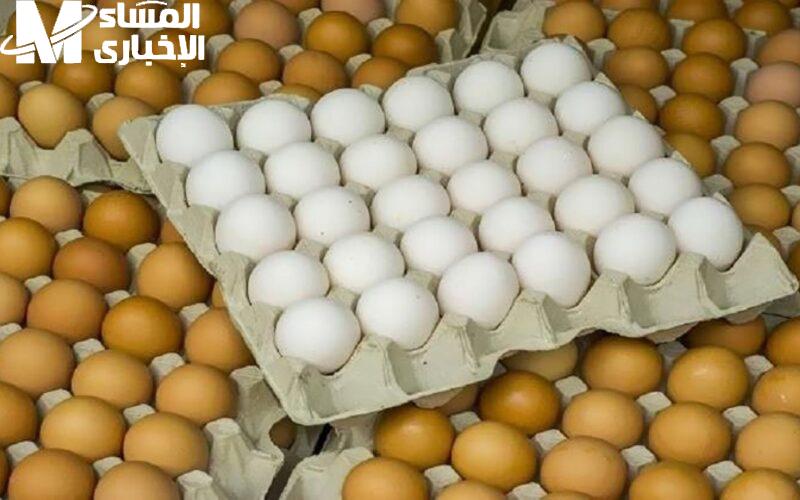 عايز تفطر بيض.. شوف كرتونة البيض بكام اليوم السبت 5/4/2025
