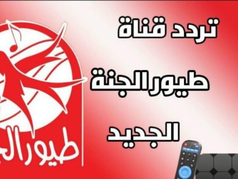لو عايز ضحكة ولعب أطفال ما تتعوضش.. خليك معانا وعلّب ريموتك بتردد طيور الجنة 2025 الجديد وشوف الفرق بنفسك