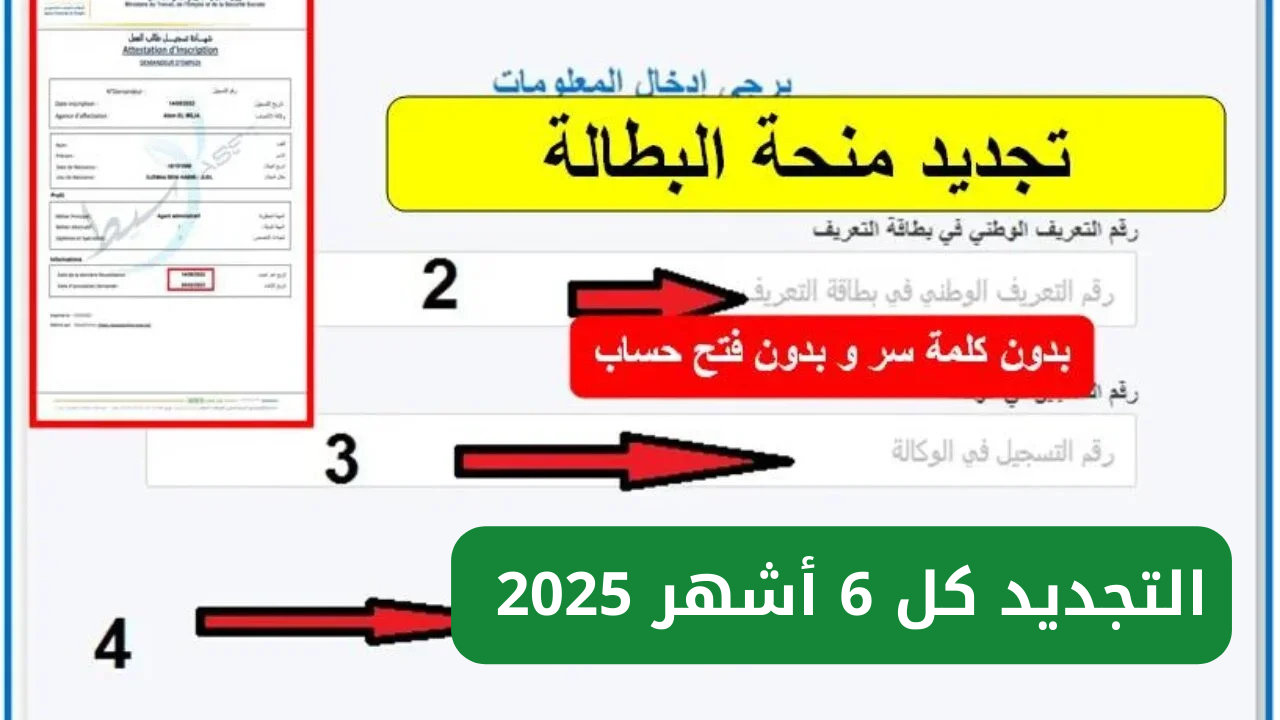 منحة البطالة في الجزائر