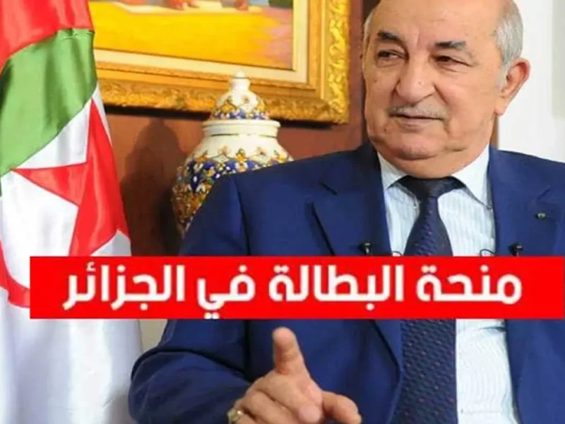 ادخل الآن.. رابط جديد لتجديد منحة البطالة في الجزائر سجّل قبل ما تتقفل
