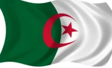منحة البطالة الجزائرية