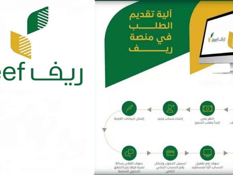 الدعم نازل للأسر دلوقتي .. التسجيل في دعم ريف 1446 فرصة ضخمة