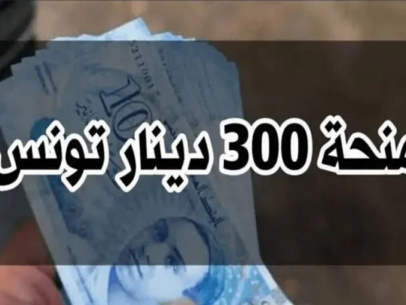 الوزارة فتحت التسجيل تاني.. منحة تونس 2025 للأسر المستحقة دلوقتي