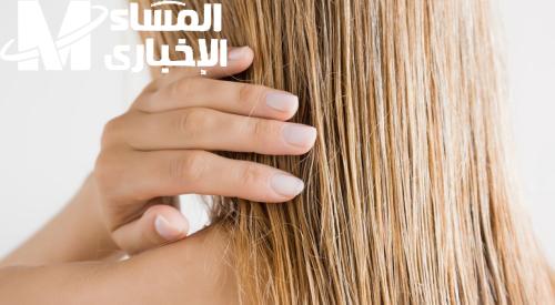 احصلي على شعر ناعم وحريري.. طريقة مبتكرة بزيت الزيتون تخلصك من التشابك والجفاف
