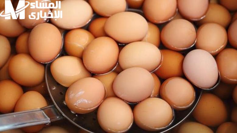خلي أكلك آمن.. بتاكل بيض من زمان بس مش بالطريقة الصح اعرف إزاي تفرّق بين الطازج والفاسد وتختار الأنسب لجسمك