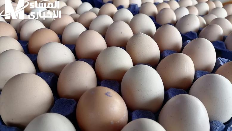 البيض بيرد عليك.. تعرف علي سعر كرتونة البيض اليوم الثلاثاء 20/5/2025 رؤية دقيقة