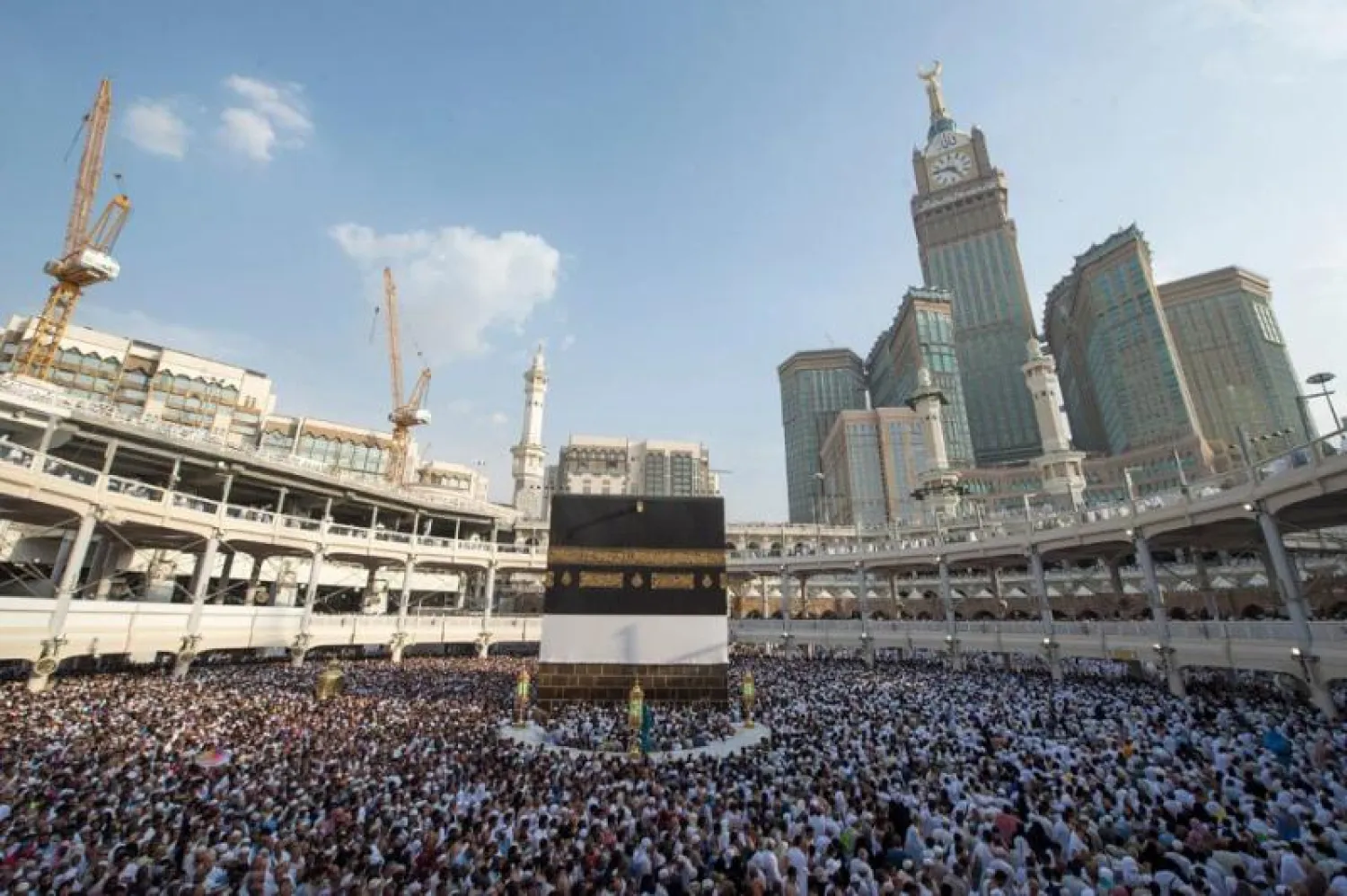 باقات الحجاج الرئيسية