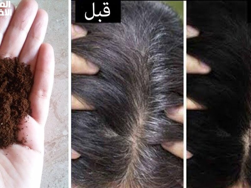 الشعر هيغيّر لونه لوحده.. وصفات تقضي على الشيب وتجيب الشباب تاني