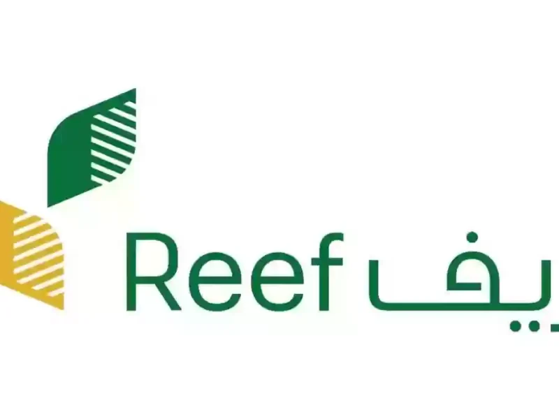 الدعم الشهري جاي لبابك.. التسجيل في دعم ريف خطوة بخطوة واستلام مضمون