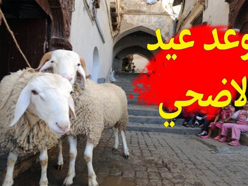 صلاتك فرحة وروحانية عظيمة .. موعد صلاة عيد الأضحي في ليبيا بكل دقة