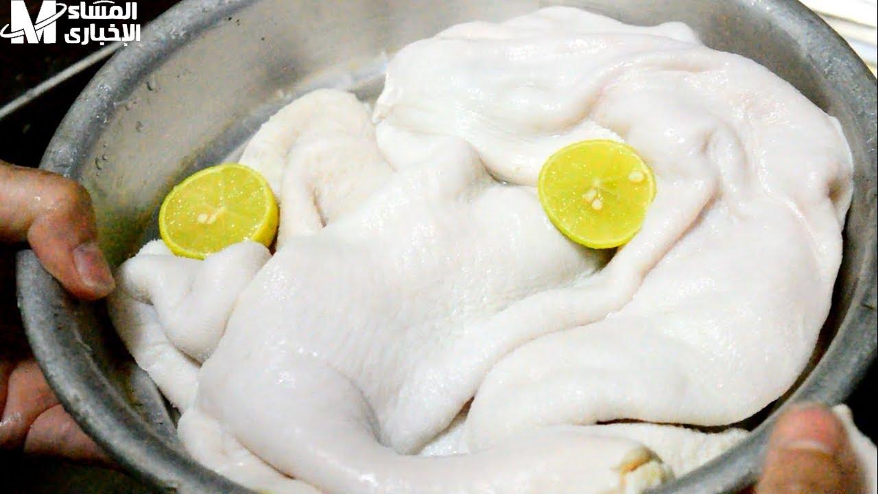 نظيف الكرشة والممبار