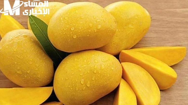 المانجو هتعيش معاك بالصيف.. تخزين المانجو بالفريزر الطريقة عبقرية