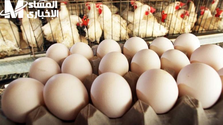 الأكل بيضحك للكل .. أسعار الدواجن اليوم الأحد 18/5/2025 مائدة كاملة