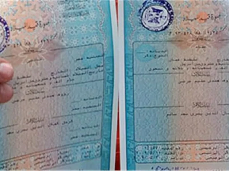 كل أوراقك في جيبك .. شهادة الميلاد الإلكترونية أصبحت رسمية خدمة مذهلة