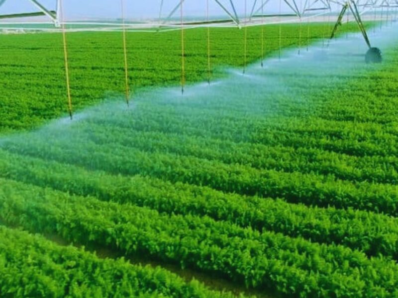 الريف بيقدّم لك فرصتك.. شروط التسجيل في برنامج دعم الريف 2025 / 1446 استحقاق مضمون