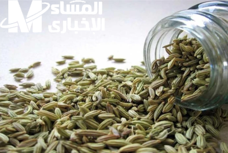 العشبة المطبخية