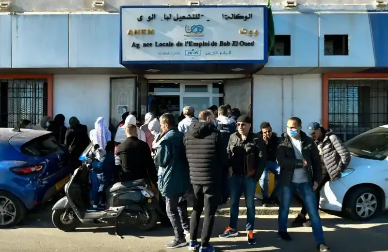 المنحة الجزائرية نورت رسميًا .. من غير طوابير ولا واسطة اتفعلت للجادين