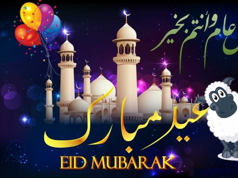 فرّح أهلك وأصحابك.. تهنئة عيد الأضحى 2025 أروع العبارات للأهل والأصدقاء كلمات دافية