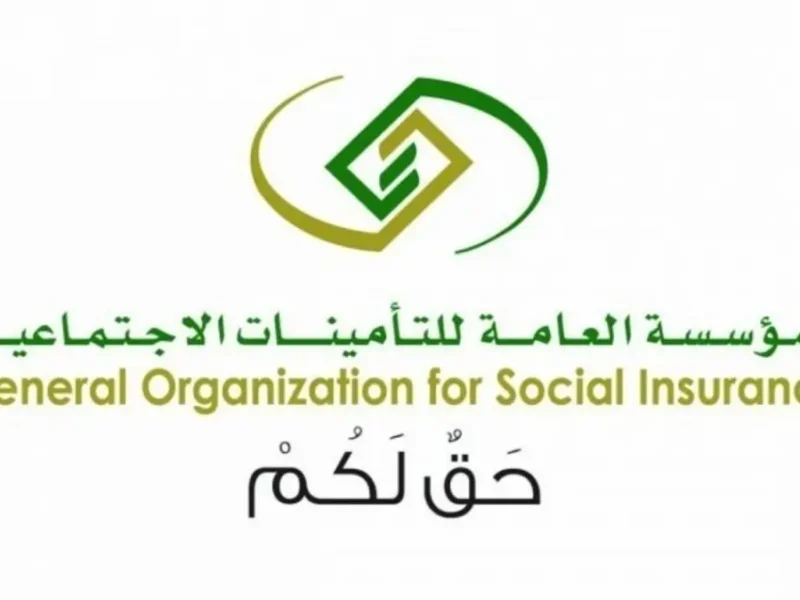 القانون في مهب التغيير.. هل سن التقاعد السعودية هيبدأ تحت الـ60
