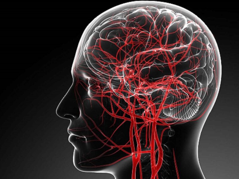 هيرجع شباب من جديد.. طرق كثيرة ومجربة لتنشيط الدماغ وانعاش الذاكرة