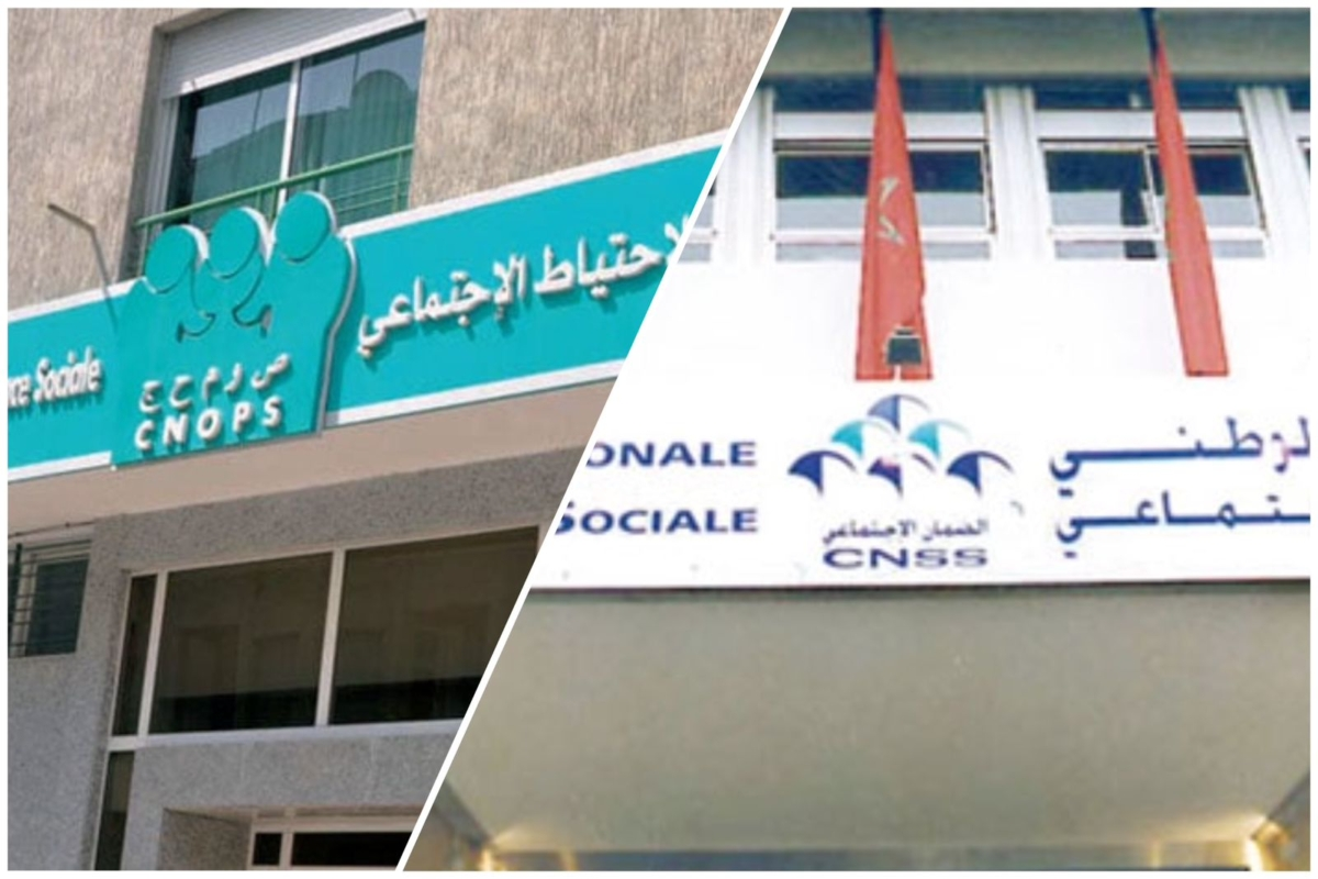كنوبس الجديد في المغرب