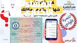 من غير ورقة واحدة.. شهادة الميلاد الرقمية في الجزائر على موبايلك فورًا تقنية مفيدة