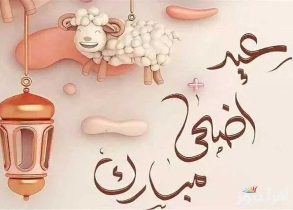 رسالتك توصل بدفا.. تهنئة عيد الأضحى أجمل الرسائل ابعتها لكل حبايبك وعيد عليهم كلمات صادقة