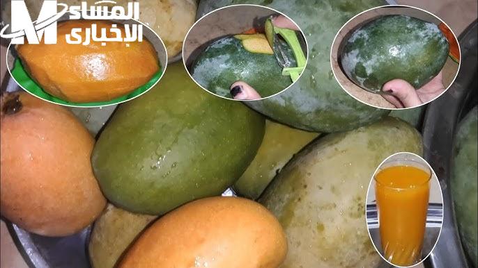 المانجو اتجمّد بذكاء خرافي .. طريقة تخزين المانجو في الفريزر فريش دائم