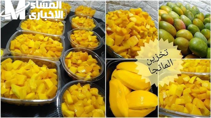 المانجو