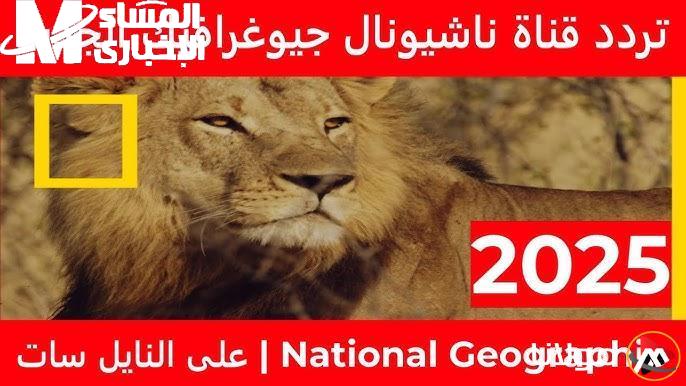 البرية اتصورت بجودة سينمائية.. تردد قناة ناشيونال جيوغرافيك على كل الأقمار