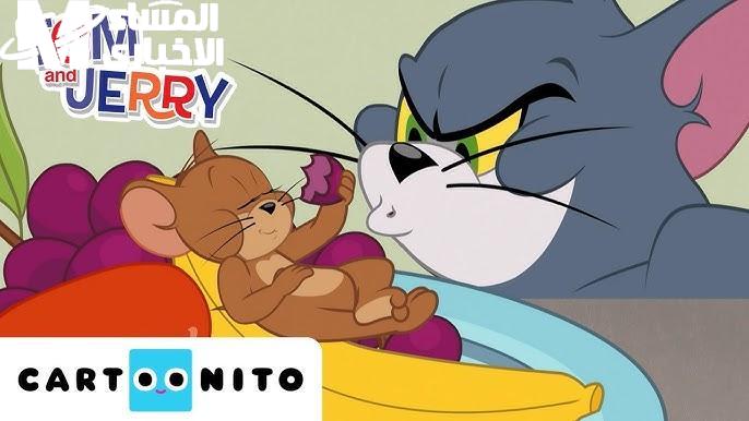 CN