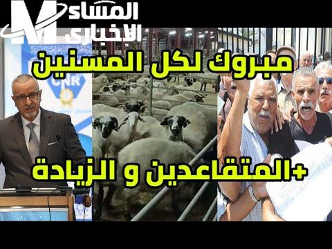 نظام تقاعد 2025 الجديد يمنح المتقاعدين استقرار مضمون