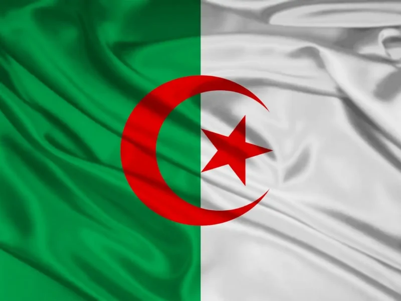 المنحه زادت.. تفاصيل التسجيل في دعم المرأة الماكثة في الجزائر