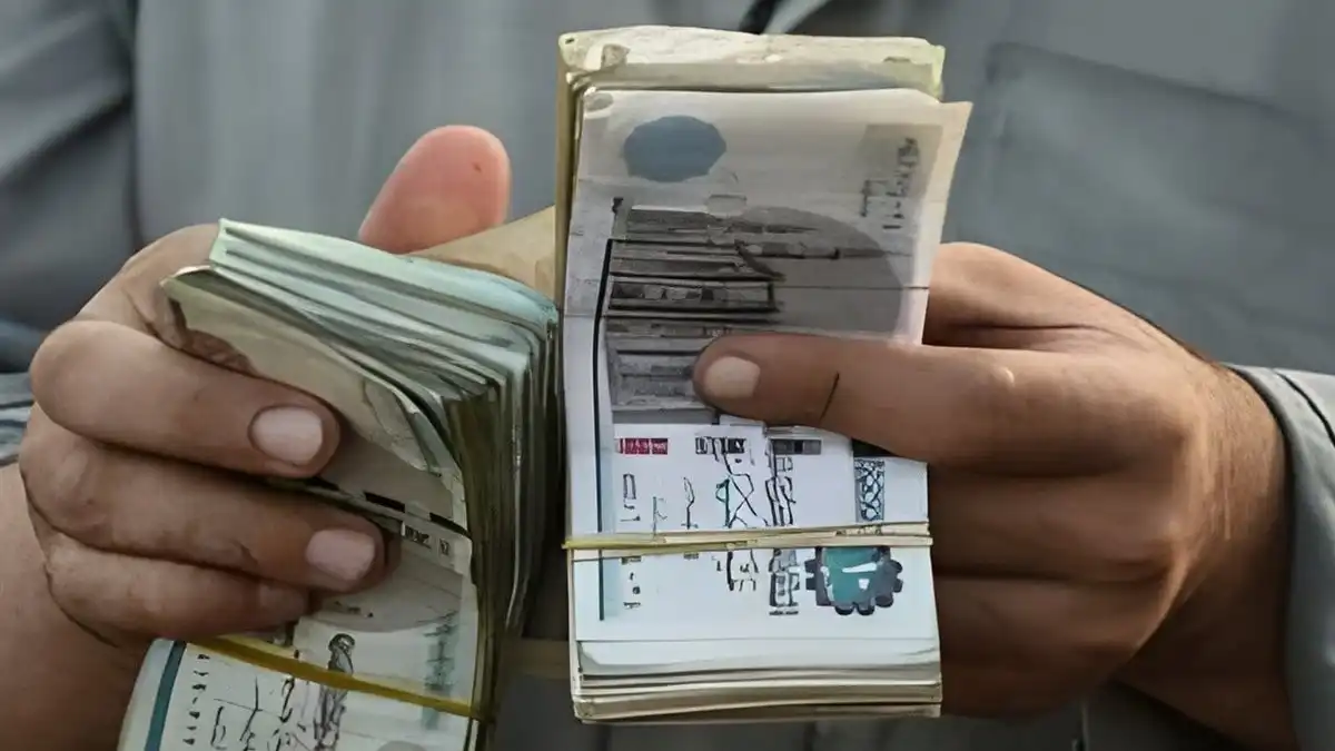 معاشات الجزائر